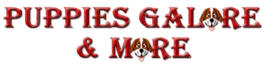 Puppies Galore & More