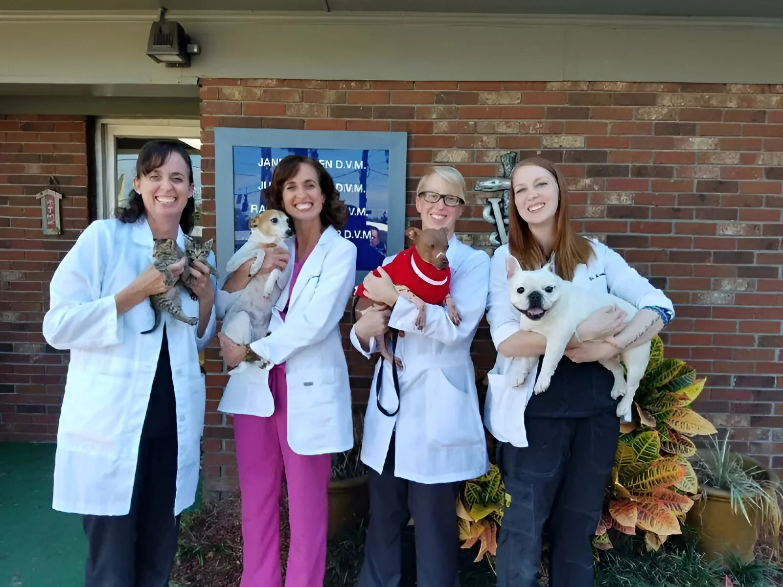 Puppies Galore & More Puppies Galore & More